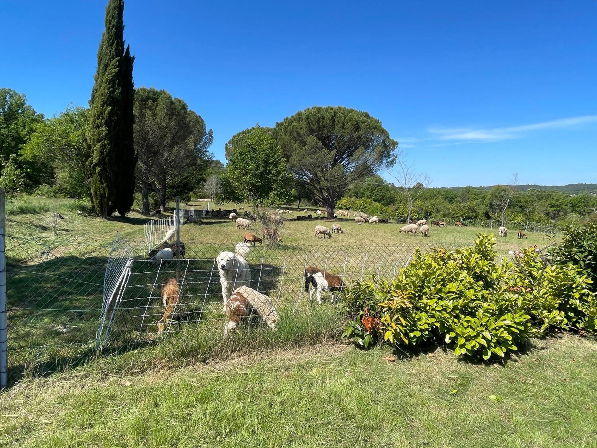 Raphael Alloggio in famiglia